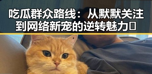 吃瓜群众路线：从默默关注到网络新宠的逆转魅力👀